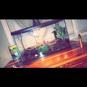 10 gallon terbium/ fish tank. great condition
